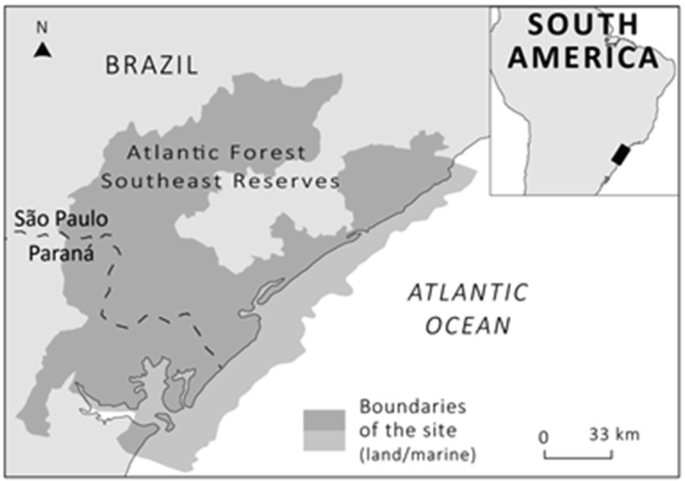 Atlantic Forest Southeast Reserves, Brazil