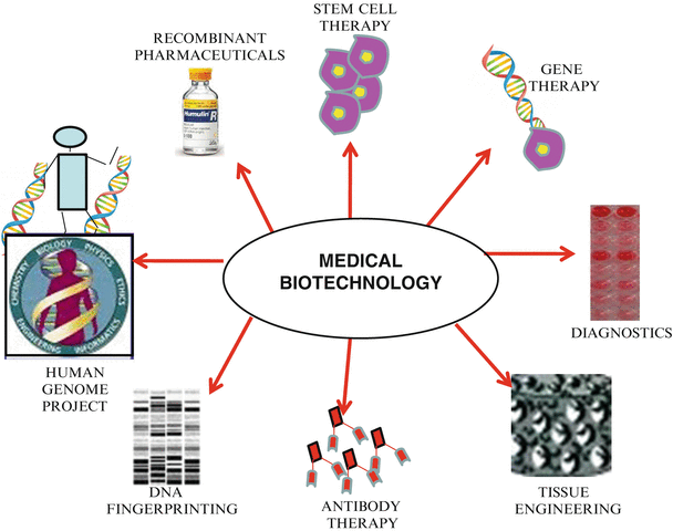 An Introduction to Biotechnology | SpringerLink