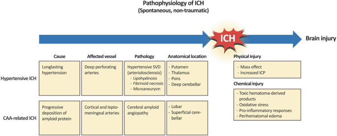 intracerebral hemorrhage pathophysiology