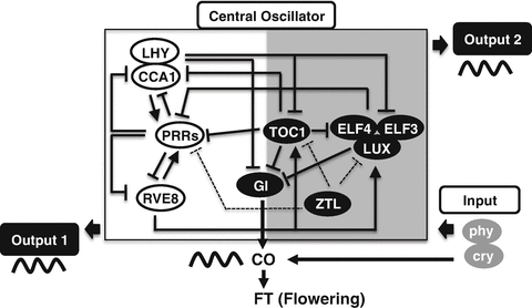 figure 8