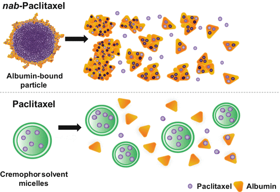 Nanoparticle Albumin-Bound Paclitaxel (Abraxane®) | SpringerLink