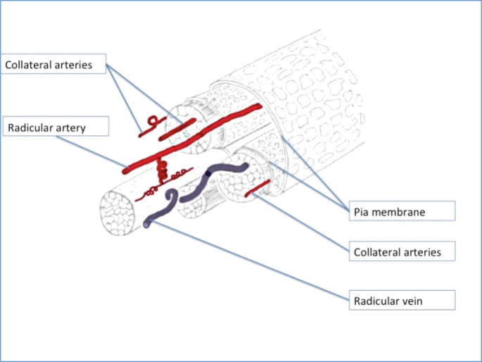 figure 24