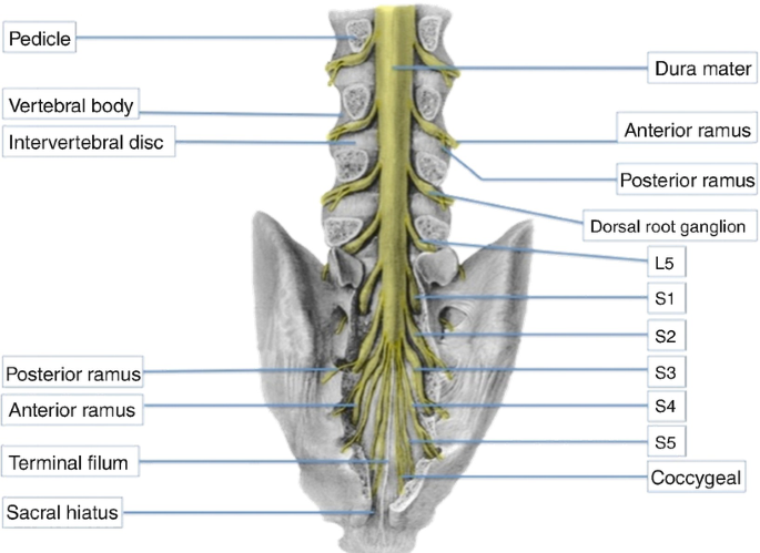 figure 27