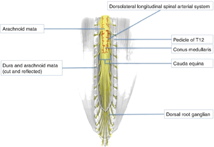 figure 28