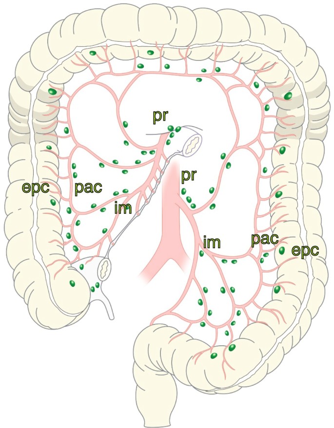 figure 24