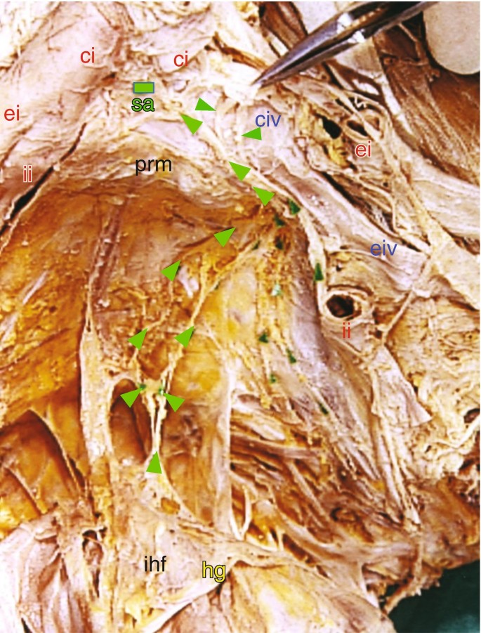 figure 35