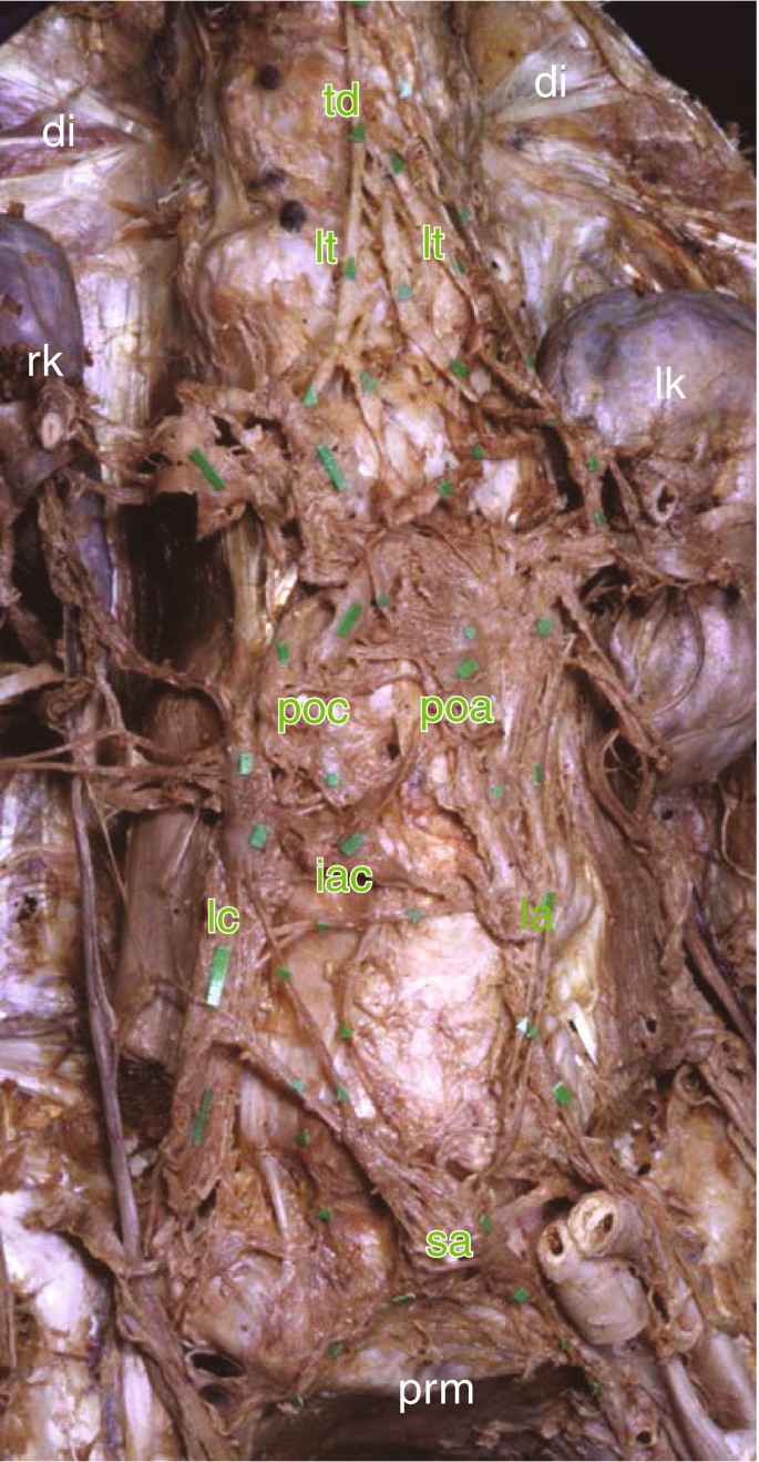 figure 40