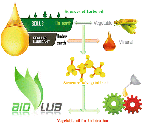 Biodegradable, Renewable, and Eco-friendly Vegetable Oil: Lubricants |  SpringerLink