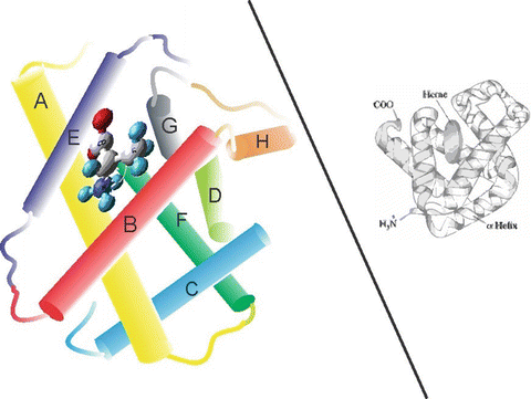 figure 21