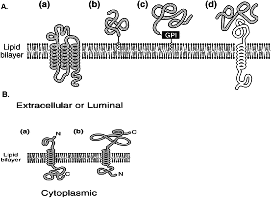 figure 25