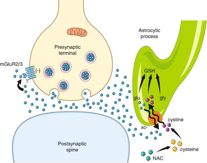 glutathione cysteine concentration Redox State of Glutathione and Cysteine in Plasma Following Acute Stroke