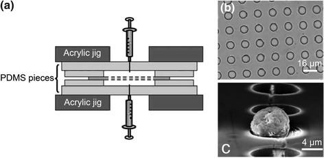 figure 21