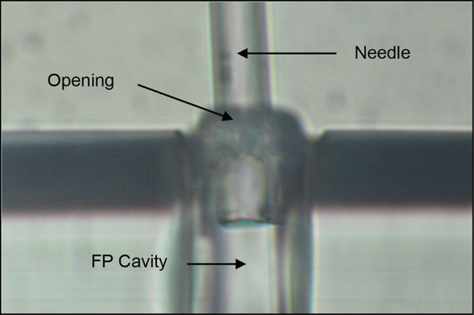 figure 24