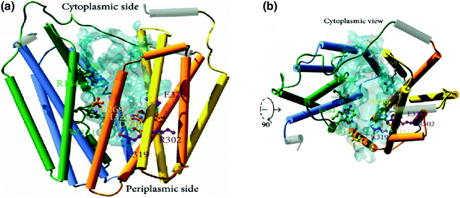 figure 15