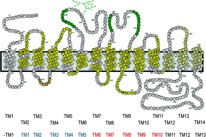 figure 17