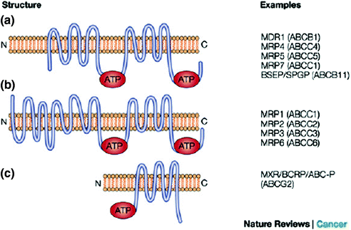 figure 19