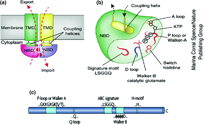 figure 20