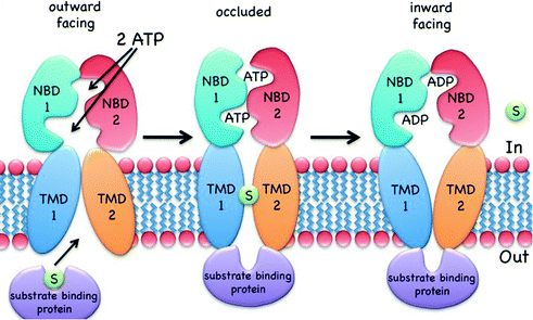 figure 21