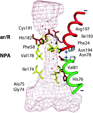 figure 25