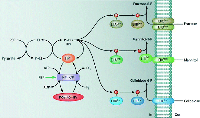 figure 26