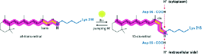 figure 29