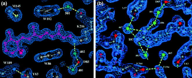 figure 31