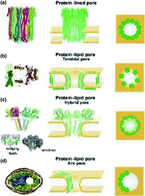 figure 35