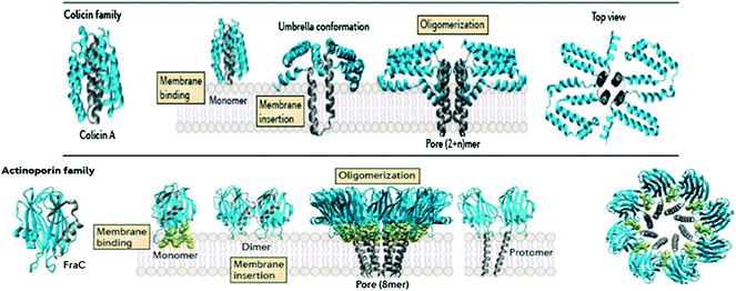 figure 37