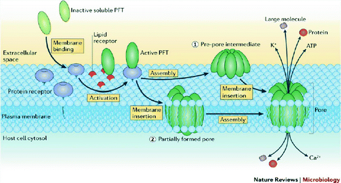 figure 38