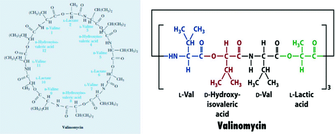 figure 40