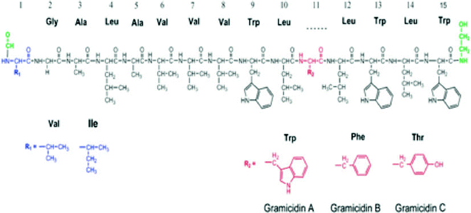 figure 43