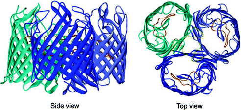 figure 45