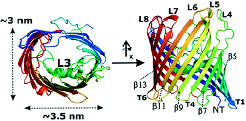 figure 46