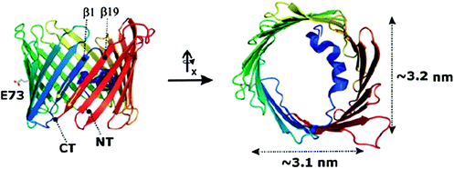 figure 47