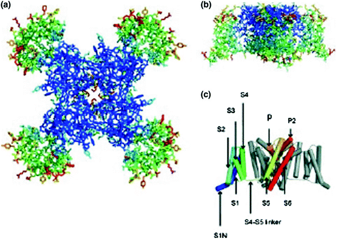 figure 52