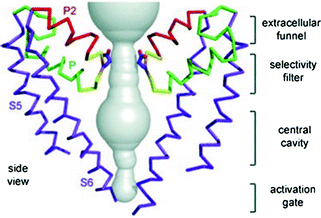 figure 54