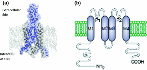 figure 55