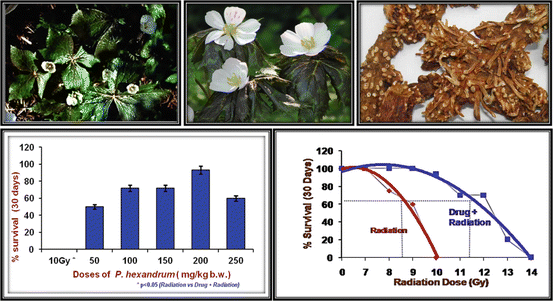 figure 25