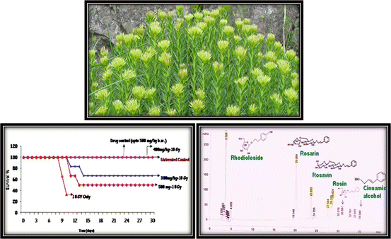 figure 27