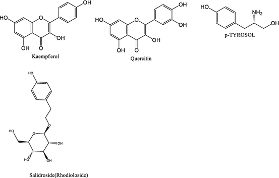 figure 24