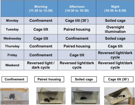 figure 19