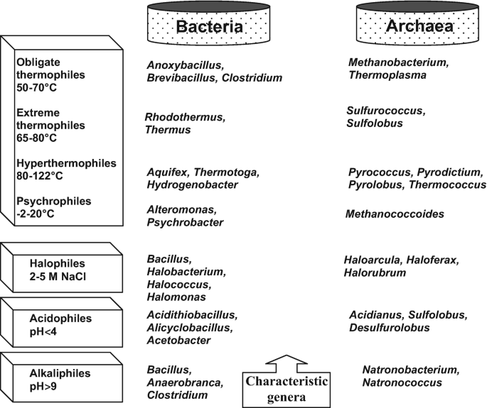 Thermophiles and Their Exploration for Thermostable Enzyme Production |  SpringerLink
