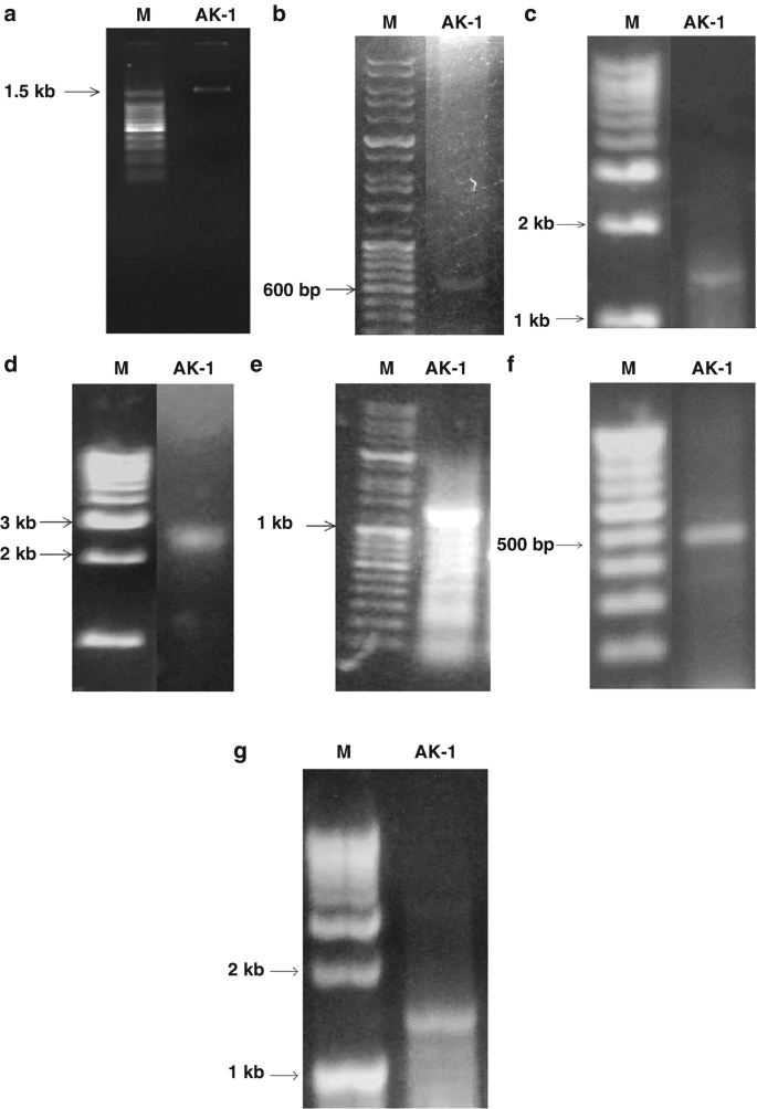 figure 16