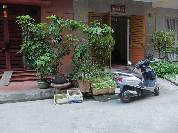 A photograph of the entrance to a house. A scooter and a few plants are visible near the entrance of the house.