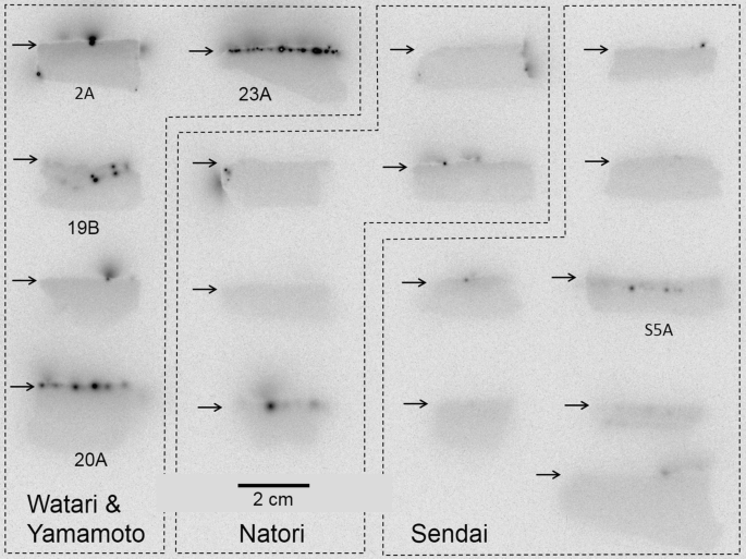 figure 20