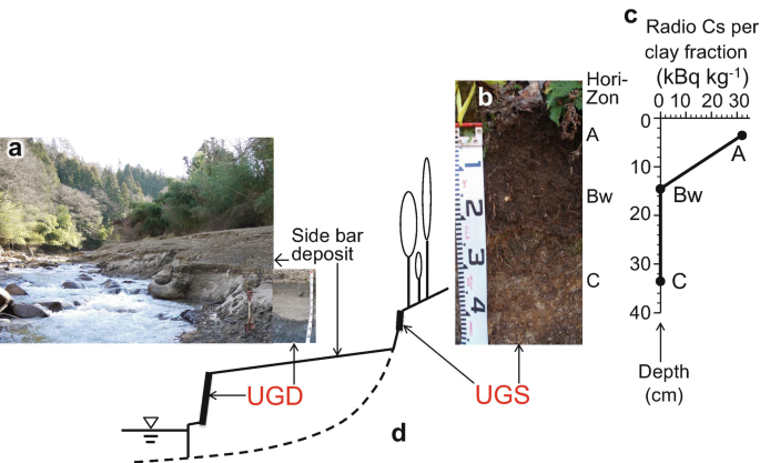 figure 24