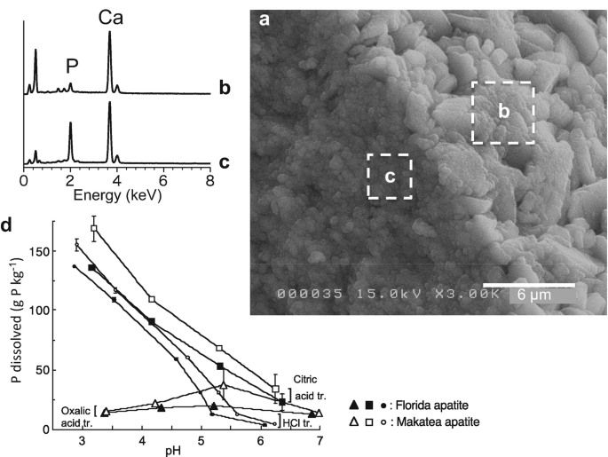 figure 31