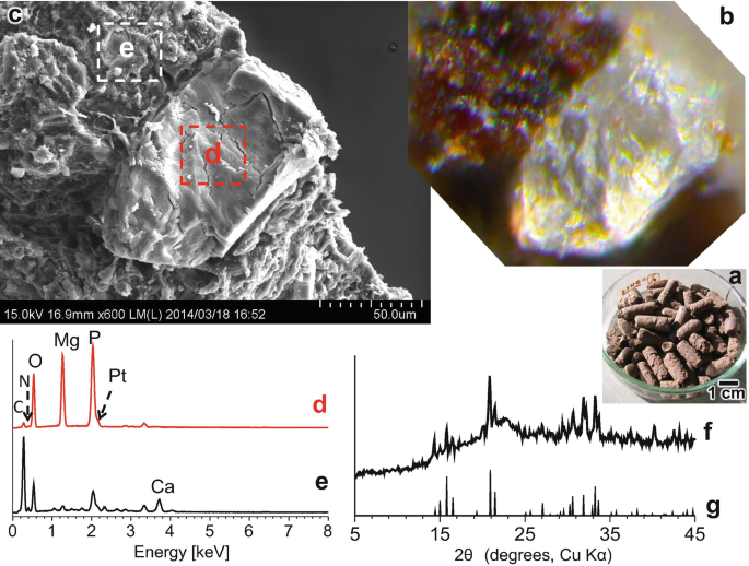 figure 35