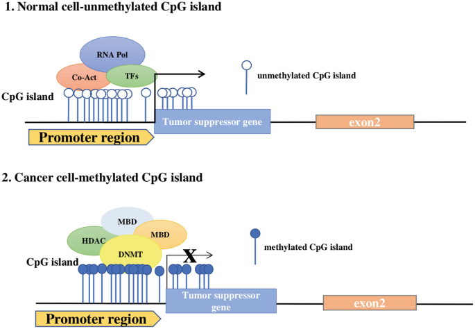 7014 Adhesion Promoter