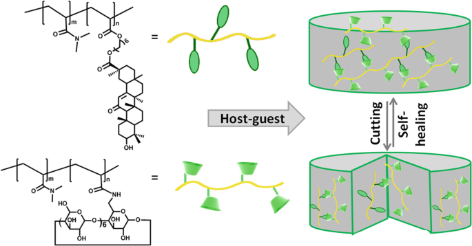 Interactions of Native Cyclodextrins with Metal Ions and Inorganic  Nanoparticles: Fertile Landscape for Chemistry and Materials Science